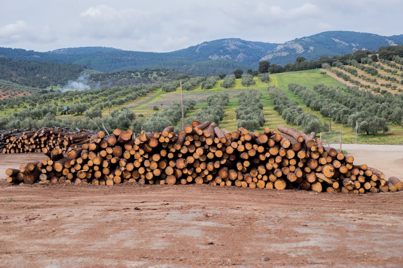 General forestry 1
